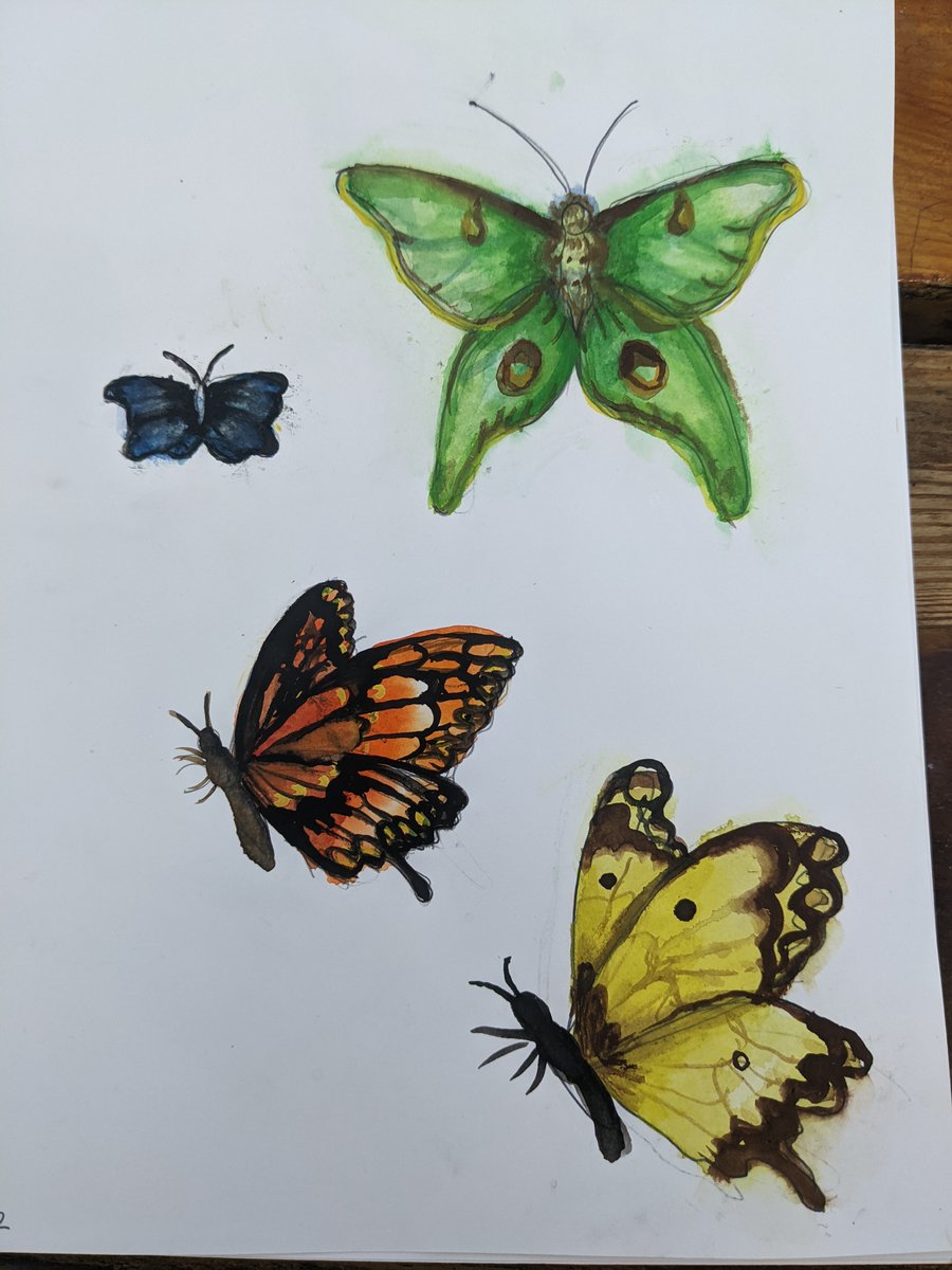 Lilstinkybug's tweet photo. Hi there, I'm new to Twitter so bear with me 🥰I'm a traditional artist looking for mutuals who enjoy exploring nature, spirituality, crystals and creepy crawlies! Like and follow if you want to see more #ArtistOnTwitter #watercolor #worldwatercolormonth2022 #gouachepainting https://t.co/xq2YCZye5Q