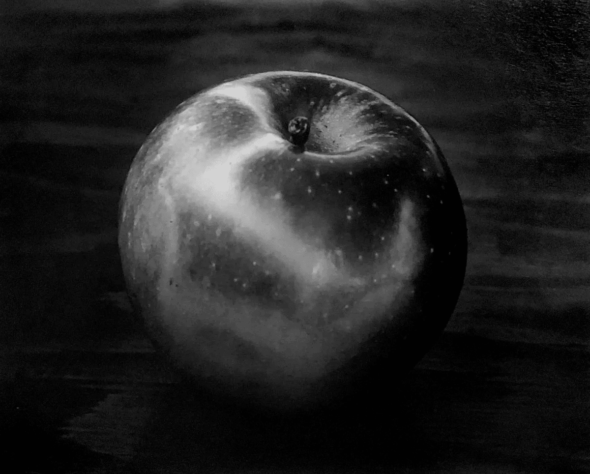 EstudiosVisuale's tweet photo. Apple, Winthrop, MA, 1964

by Paul Caponigro

#photography #contemporaryart #contemporaryphotography #PaulCaponigro https://t.co/GK48DOGA7Y