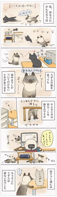 追いかけっこ中、難所あらわる!楽々とクリアできる猫と苦戦する猫【連載】ねこ連れ草 231話め|ねこのきもちWEB MAGAZINE https://t.co/OTFUmxHopJ 