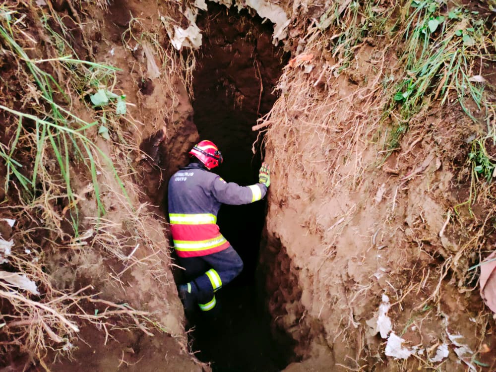 BomberosQuito's tweet photo. 🐄 La vaca Lory*, cayó en un pozo de 6 metros de profundidad en el sector de La Merced.

👨‍🚒 Hasta el lugar llegó nuestro equipo para socorrer al vacuno que, por la posición en que quedó en el pozo, complicó las labores de rescate.

[1/2]⬇ https://t.co/bithKip3I1
