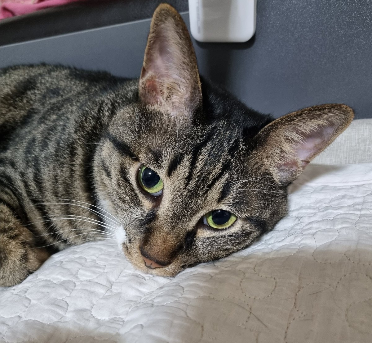 누나가 얼른 종강하고 갈게ㅠㅜ