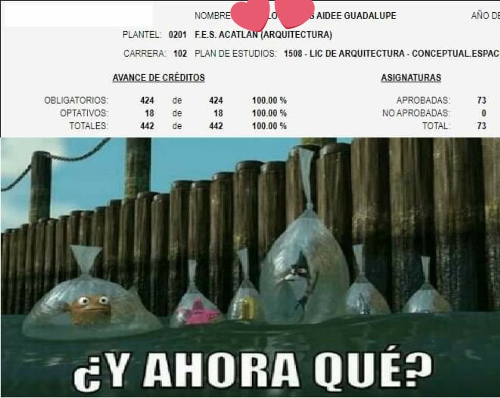 So_SourCandy_'s tweet photo. Oficialmente terminé la universidad. Ya me pueden ir diciendo Arquitecta. ✨ https://t.co/iJBqbCro9t