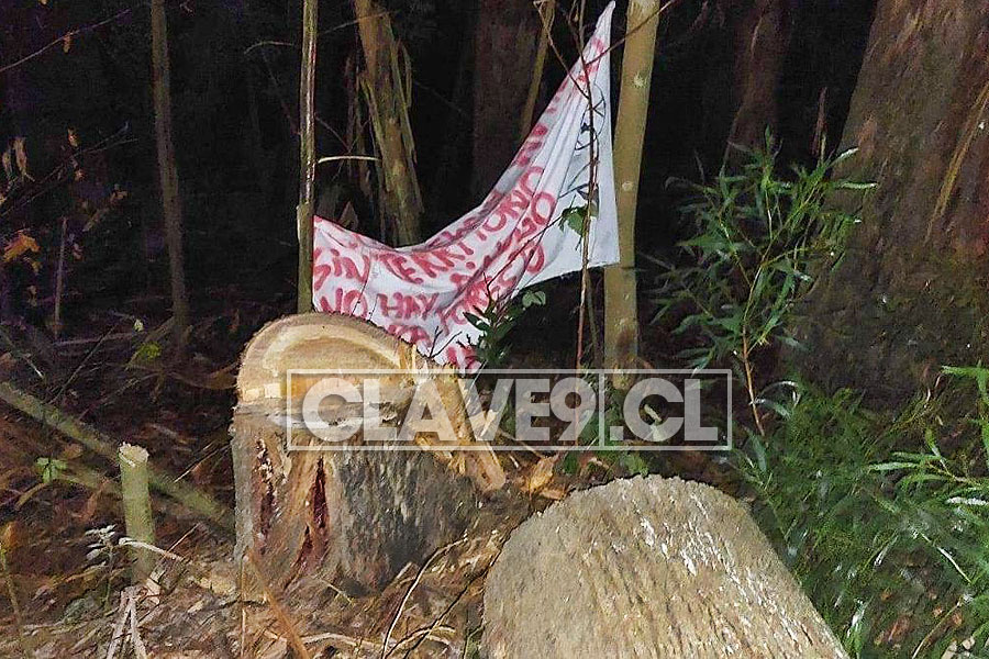 Clave9cl's tweet photo. AHORA: Conductores reportan barricadas en distintos puntos de la Ruta 5 Sur en Malleco y al menos un accidente de tránsito por árboles derribados. En rutas Victoria- Curacautín, Victoria- Traiguén, Angol- Collipulli y Angol- Los Sauces también se reportan barricadas https://t.co/igEXGlYxaK