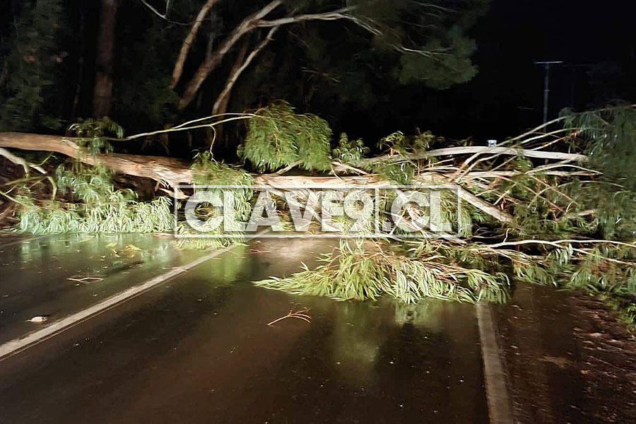 Clave9cl's tweet photo. AHORA: Conductores reportan barricadas en distintos puntos de la Ruta 5 Sur en Malleco y al menos un accidente de tránsito por árboles derribados. En rutas Victoria- Curacautín, Victoria- Traiguén, Angol- Collipulli y Angol- Los Sauces también se reportan barricadas https://t.co/igEXGlYxaK