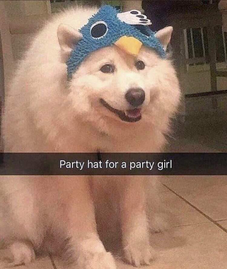 WholesomeMemes tweet media
