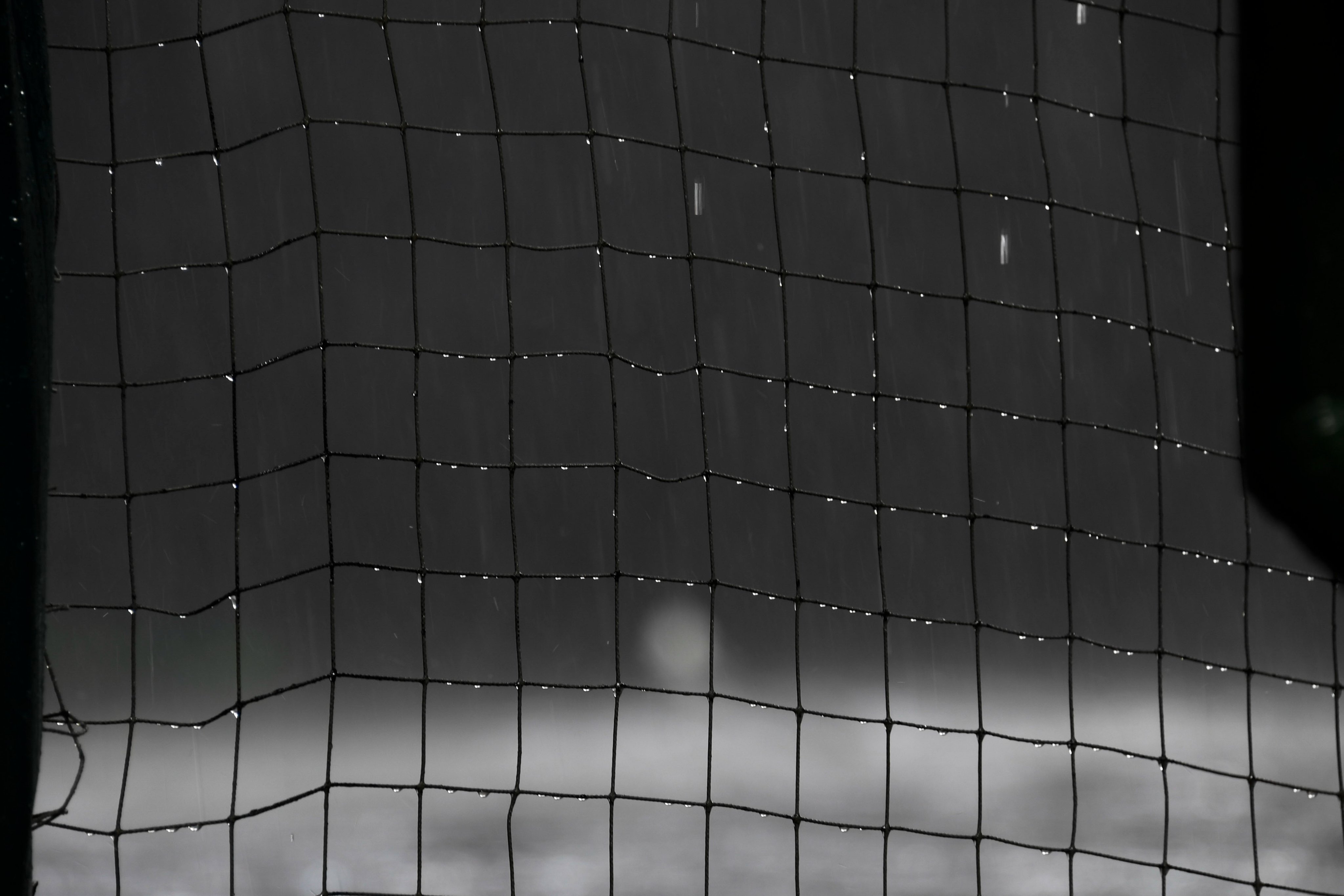Stuck In A Cubs Rain Delay? This Will Help! - sjp559a