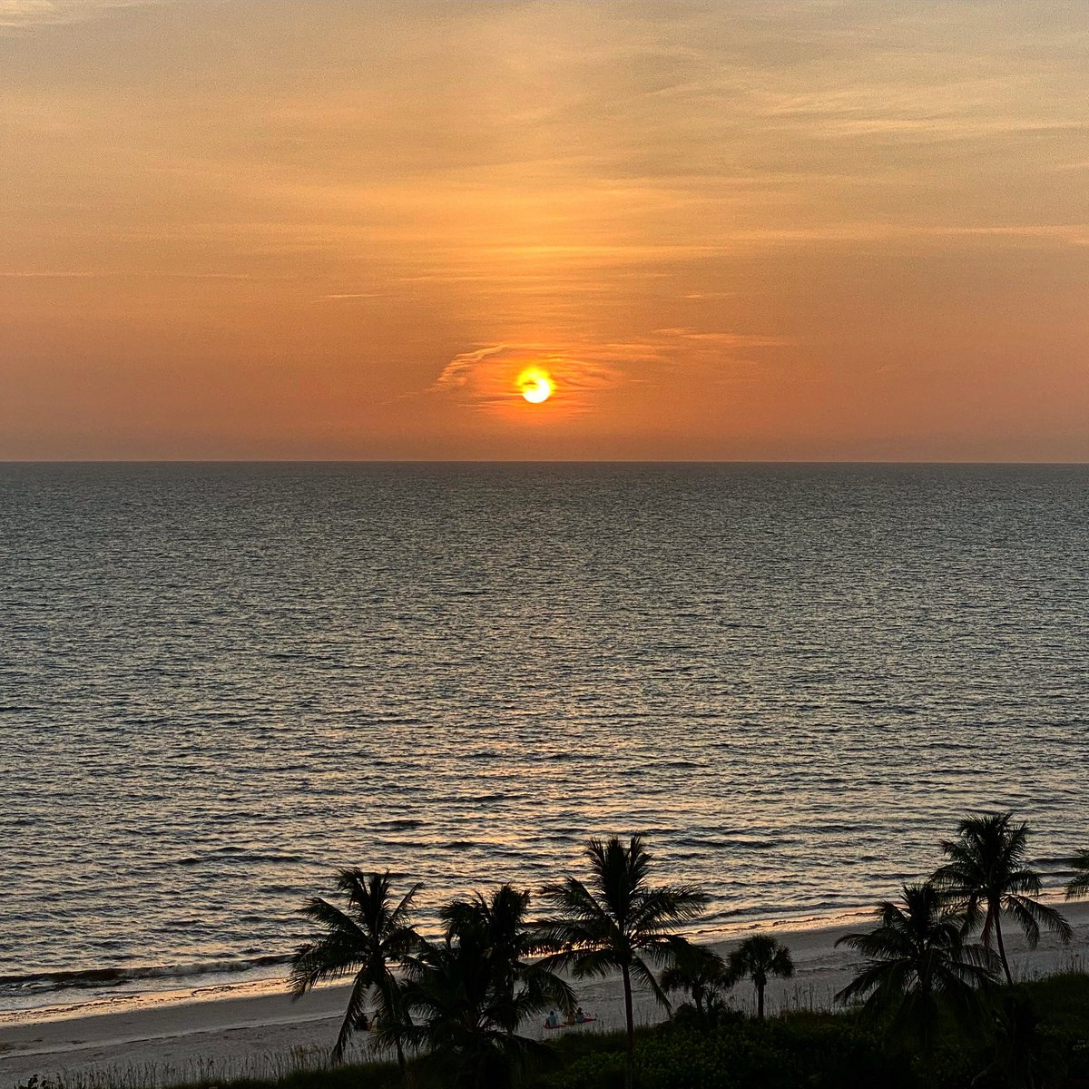 amadeo77's tweet photo. #sunset #monday #ocean #gulf #naples #florida #admirenature #creationshouts https://t.co/NlF8tb2a2g