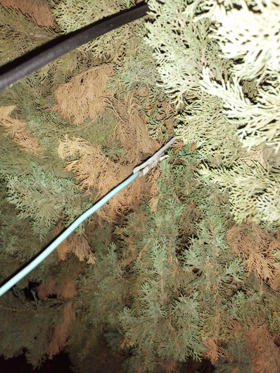 Oye <a href="/ZapopanGob/">Gobierno de Zapopan</a> <a href="/JuanJoseFrangie/">Juan José Frangie</a> con quién me puedo apoyar para cortar un pino, que mi vecino no quiere hacerse responsable y lejos de eso, ningún jardinero quiere hacerlos por el riesgo que representa. 
<a href="/PCJalisco/">Protección Civil JAL</a>
<a href="/UMPCyBZ/">PCyBomberosZapopan</a> <a href="/CFE_Contigo/">CFE_Contigo</a> <a href="/CFEmx/">CFEmx</a>