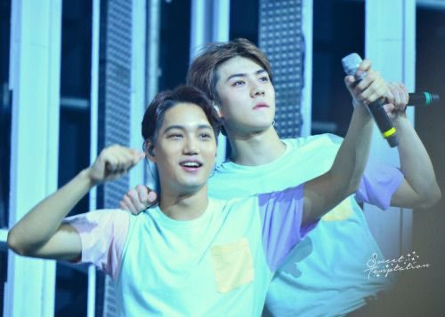 oldsekai's tweet photo. #KAI #카이 #SEHUN #세훈 https://t.co/bCs77uU8Tk