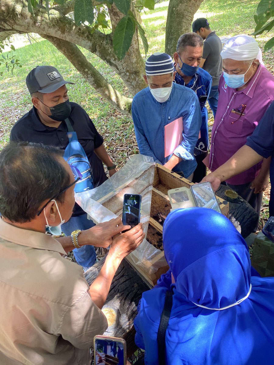 ppkbota_lambor's tweet photo. 🌸 BAHAGIAN HAL EHWAL KORPORAT 🌸

🐝🍯KURSUS ASAS TERNAKAN LEBAH KELULUT🐝🍯

Anjuran : PPK Bota/Lambor

Tarikh kursus : 13 Jun 2022 (Isnin)
Masa kursus : 9.00 pagi - 1.00 tengahari 
Tempat : Pusat Kecemerlangan Kelulut Titi Gantung

Tenaga Pengajar : En Ikhwan Nadzir Mohamad https://t.co/cOUzW7uhAI
