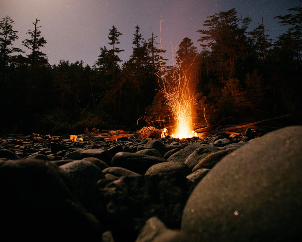 Nimmo Bay Resort tweet media