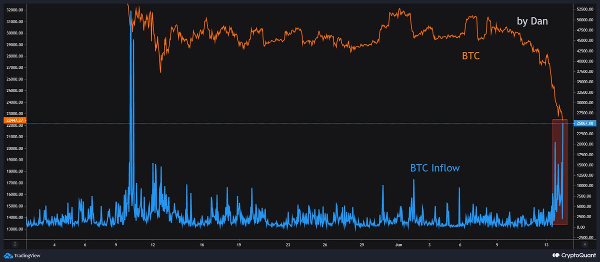 Crypto Dan tweet media