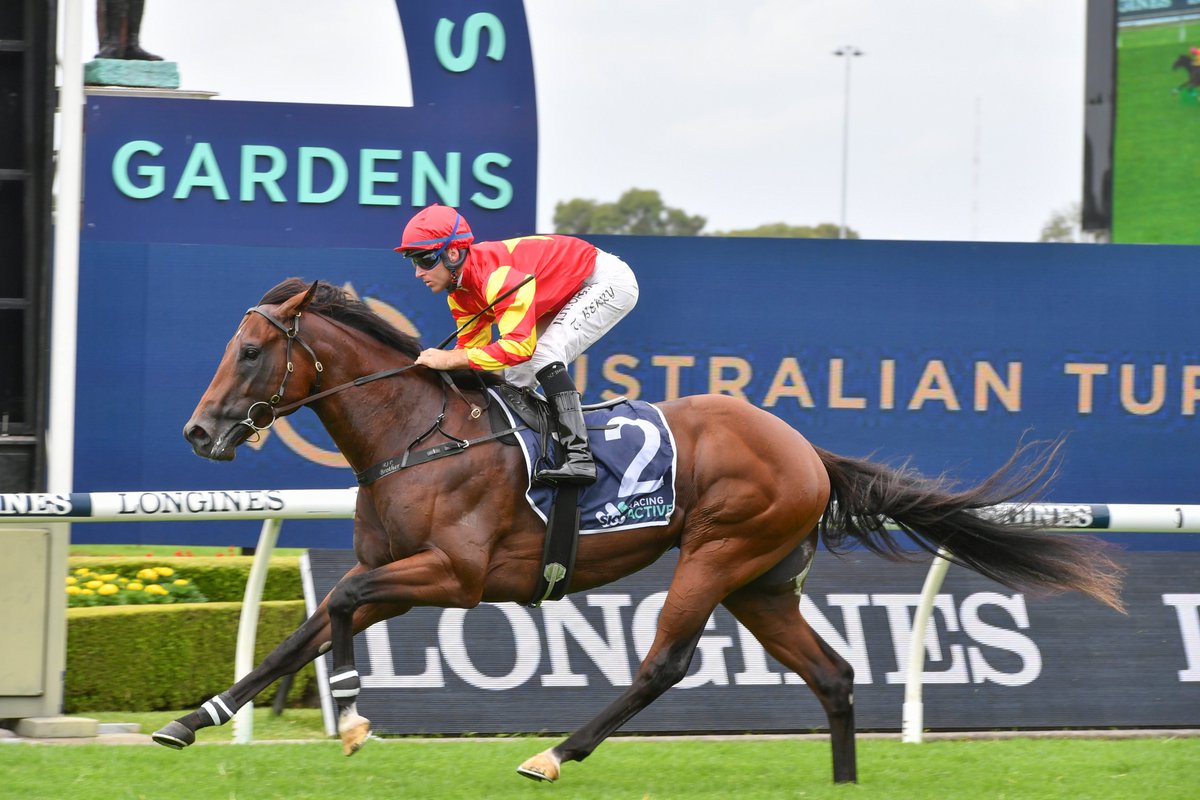 mmsnippets's tweet photo. The latest MM Online Sale features untapped 3YO Military Expert - offered unreserved! Bid now!

🐎 Hong Kong rating 75

10 starts - 2 wins &amp; 4 placings inc:
✅ 2nd in G2 Ming Dynasty
✅ 3rd in G3 Caulfield Guineas Prelude
✅ 2nd in LR Canberra Guineas

https://t.co/eVR2GOICNt https://t.co/ofBPlqCdbK