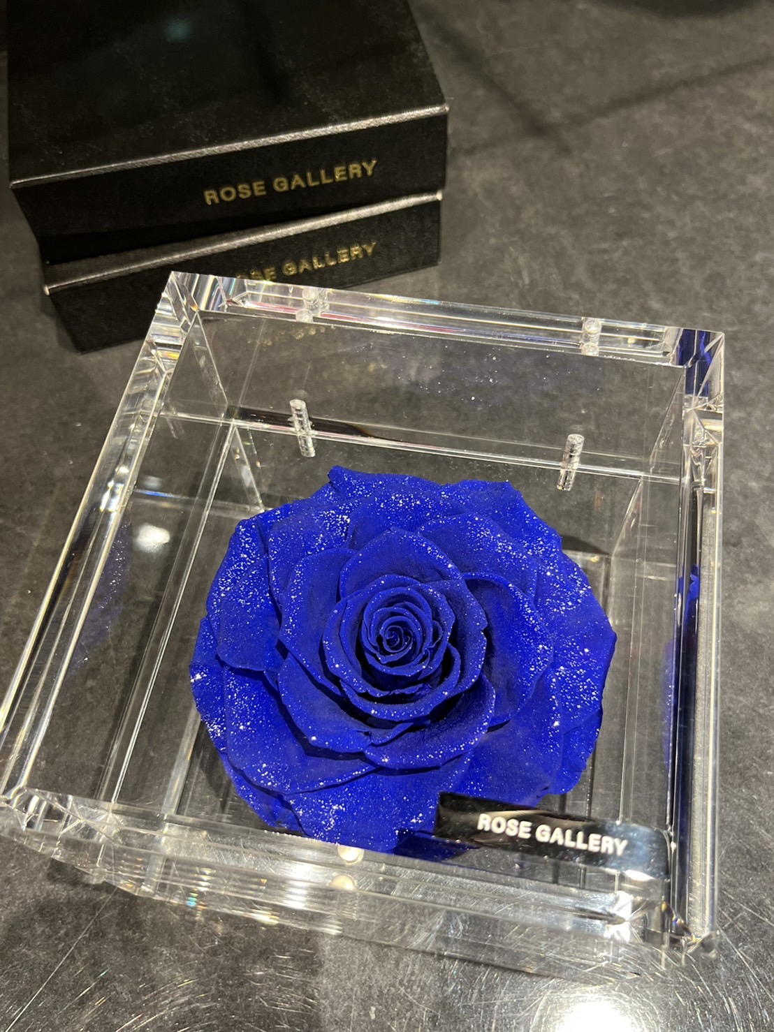 Rose Gallery Rosegallery1975 Twitter