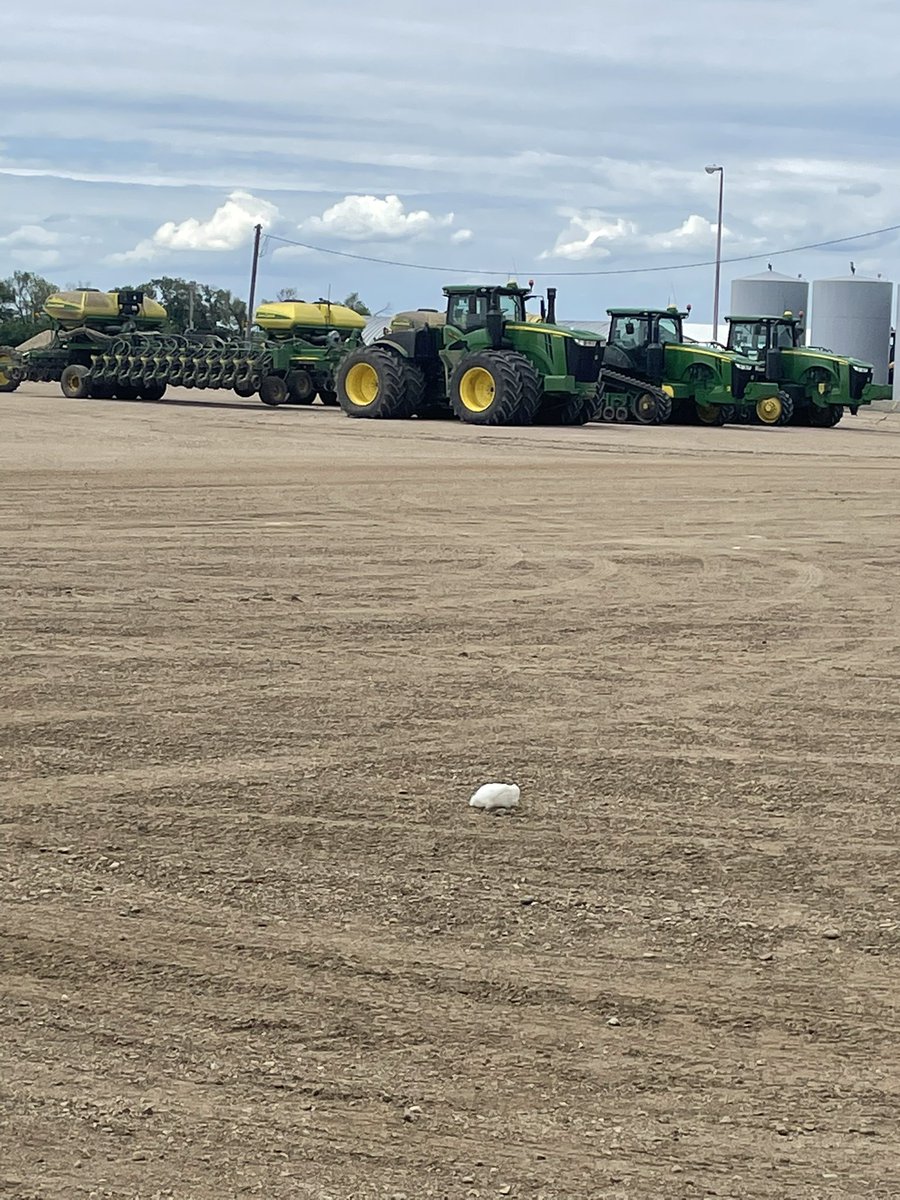 HoferNed's tweet image. Plant22 is In The books