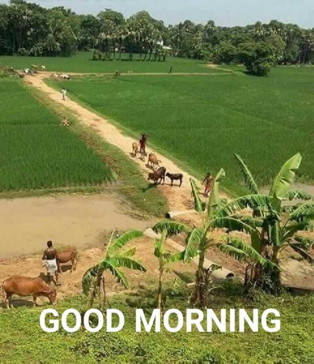 🥰 Thanga Prakash. A 🇮🇳 on Twitter: 