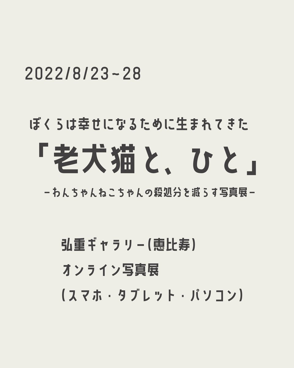 THISPHOTO_KYOTO's tweet photo. 8∕23～28◇◇わんちゃんねこちゃんの命を守れるチャリティー写真展◇◇スマホ・タブレット・パソコンからでも簡単に見られます⋱チケット発売中⋰https://t.co/MgzDK9XHdK https://t.co/Vh8Hi6wDnf