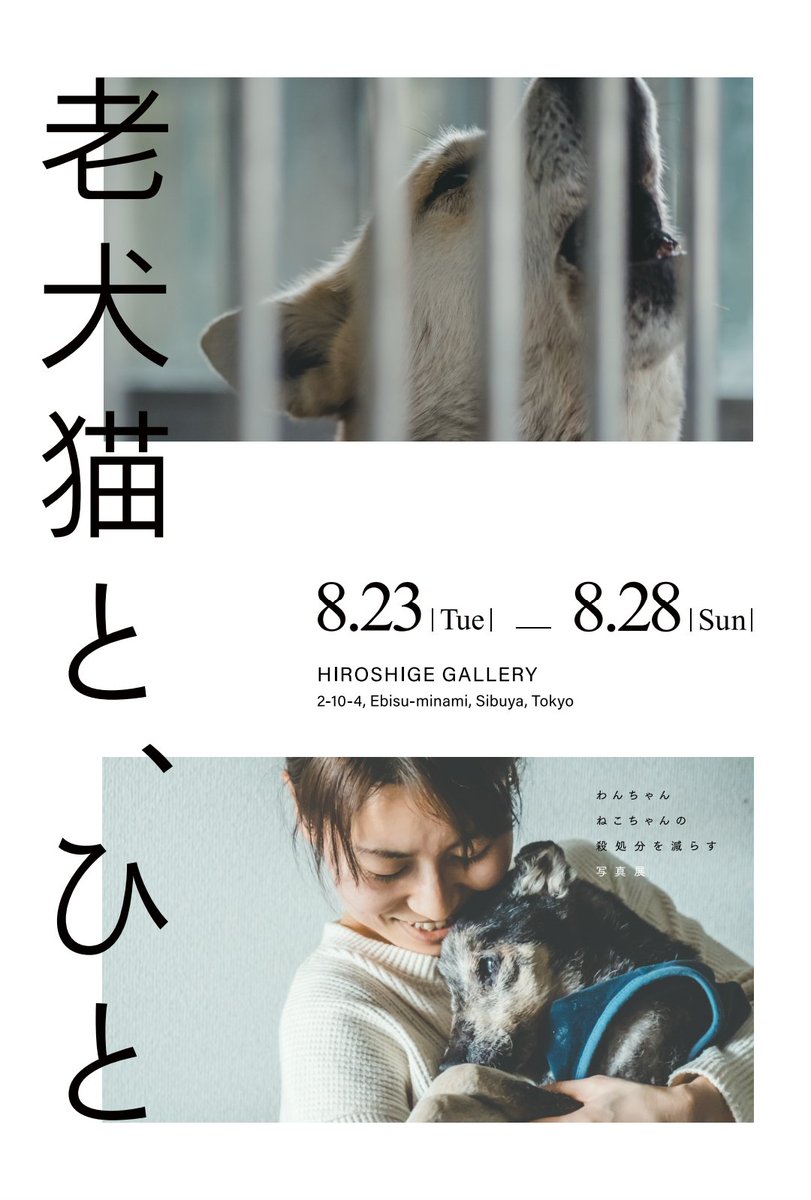 THISPHOTO_KYOTO's tweet photo. 8∕23～28◇◇わんちゃんねこちゃんの命を守れるチャリティー写真展◇◇スマホ・タブレット・パソコンからでも簡単に見られます⋱チケット発売中⋰https://t.co/MgzDK9XHdK https://t.co/Vh8Hi6wDnf