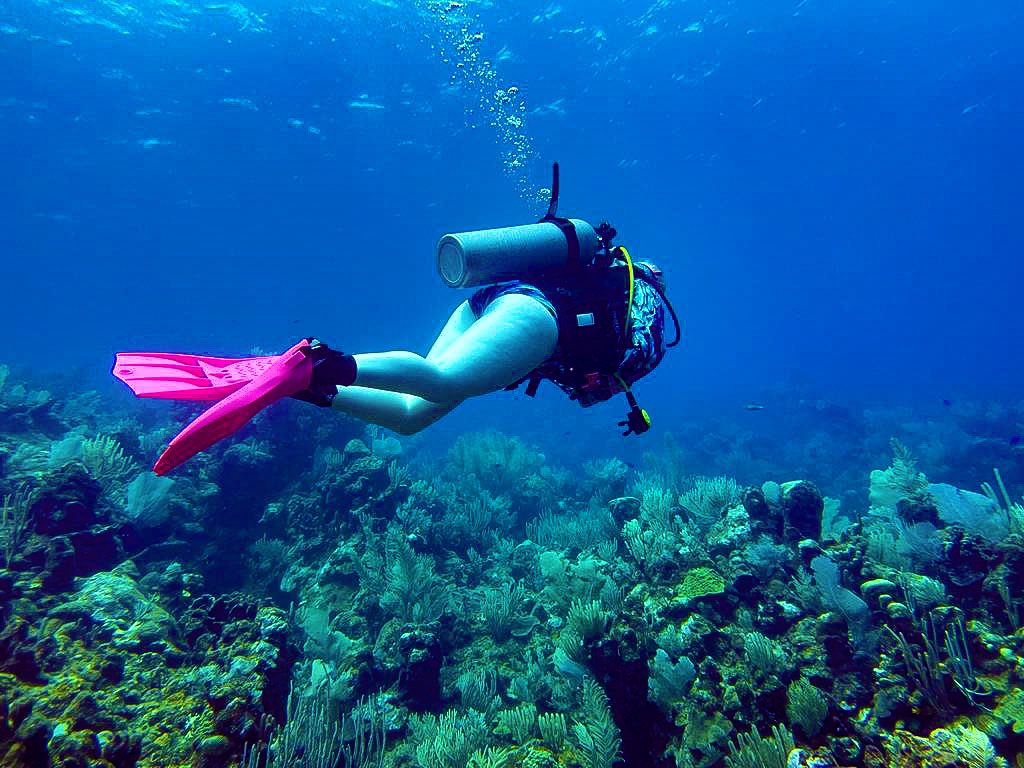 Living it up on my vacation. 
Sad to be going home soon. 😒

@girlsthatscuba can't see it but I'm rocking the whale shark mask strap 🤿

And my @waterlust abalone sun suit ✨

#roatan #diving #scuba #PADI