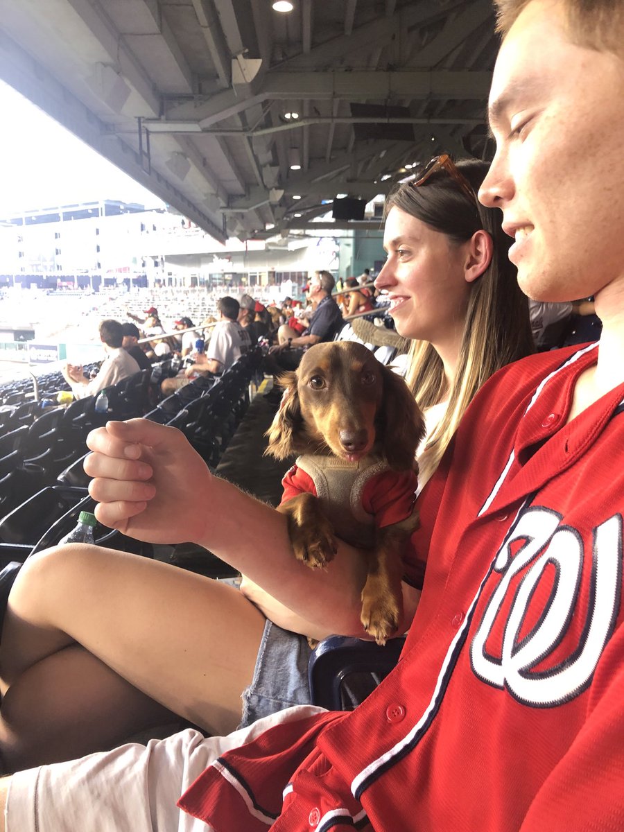 KesslerBarrie's tweet photo. Pups in the park. #natitude https://t.co/soMfvsal2w