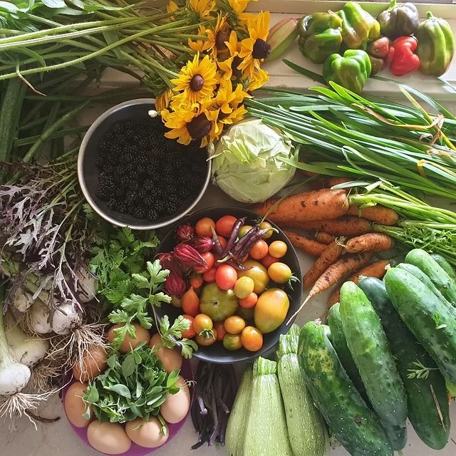 SCD_Probiotics's tweet photo. What summer dreams are made of...

#gardeninspo via @living_the_dream_permaculture 

#guthealth #guthealthy #guthealthmatters #gutmindconnection #gutbrainaxis #naturalsolutions #healthychoices #wellness #wellbeing #eatplants #plantbased #naturalmama #naturalwellness #naturallife https://t.co/jc9kZdl06K