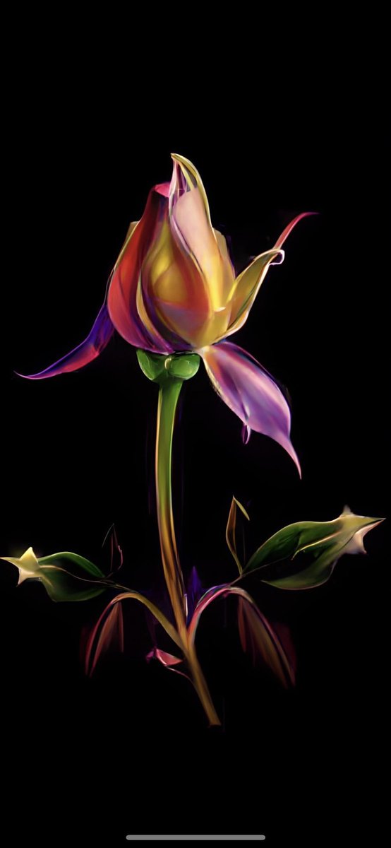 Bb_artiste's tweet image. GN! Flower art work #Procreate #art #myart #ArtistOnTwitter #ArtLovers #digitalpainting #myartwork #flowerart #DigitalArtist