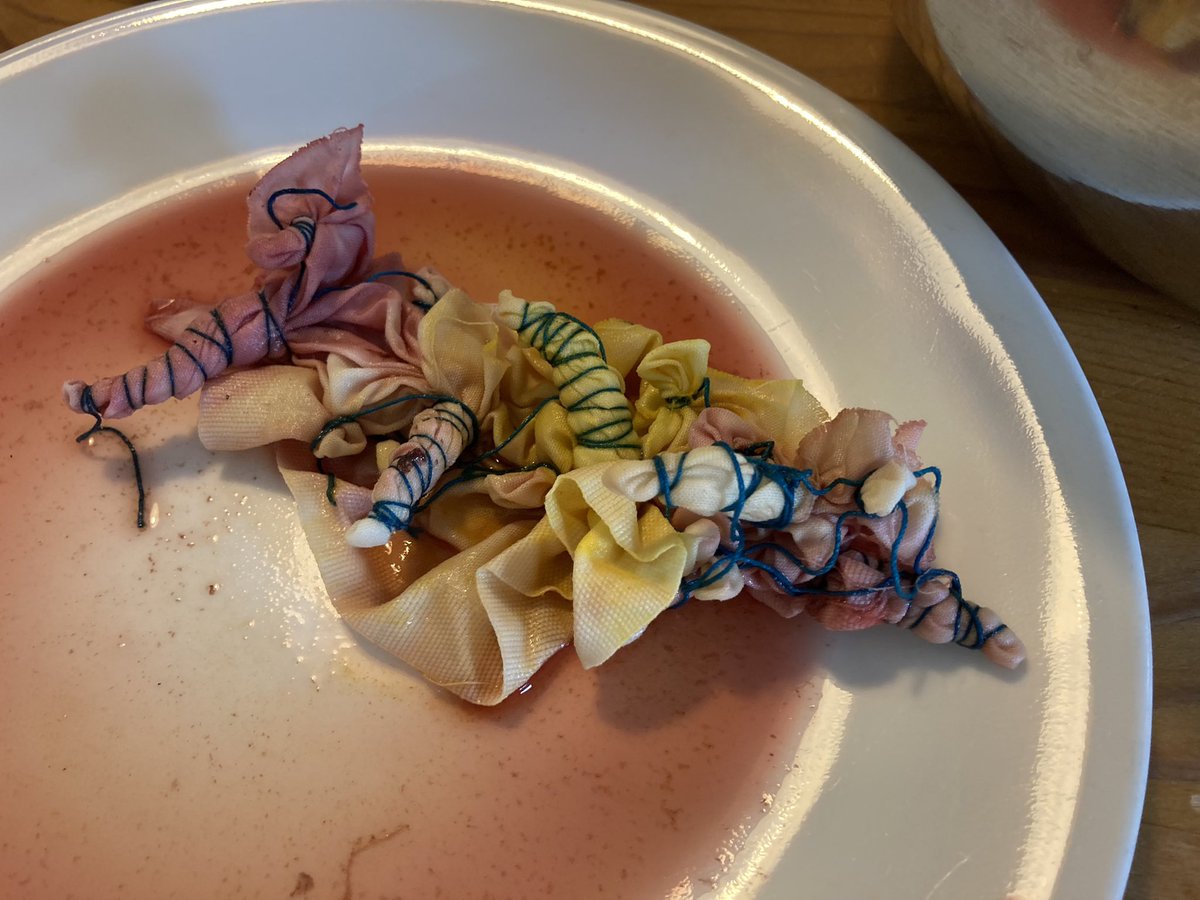 wendyevaK's tweet photo. Shibori with edible dyes on cotton

I used strong black tea, turmeric, and hibiscus

Clearly the turmeric worked best!
#crafting
#healing
#slowcreativity
#selfcare 
#shibori
#naturaldyes https://t.co/9MLolPPhBw