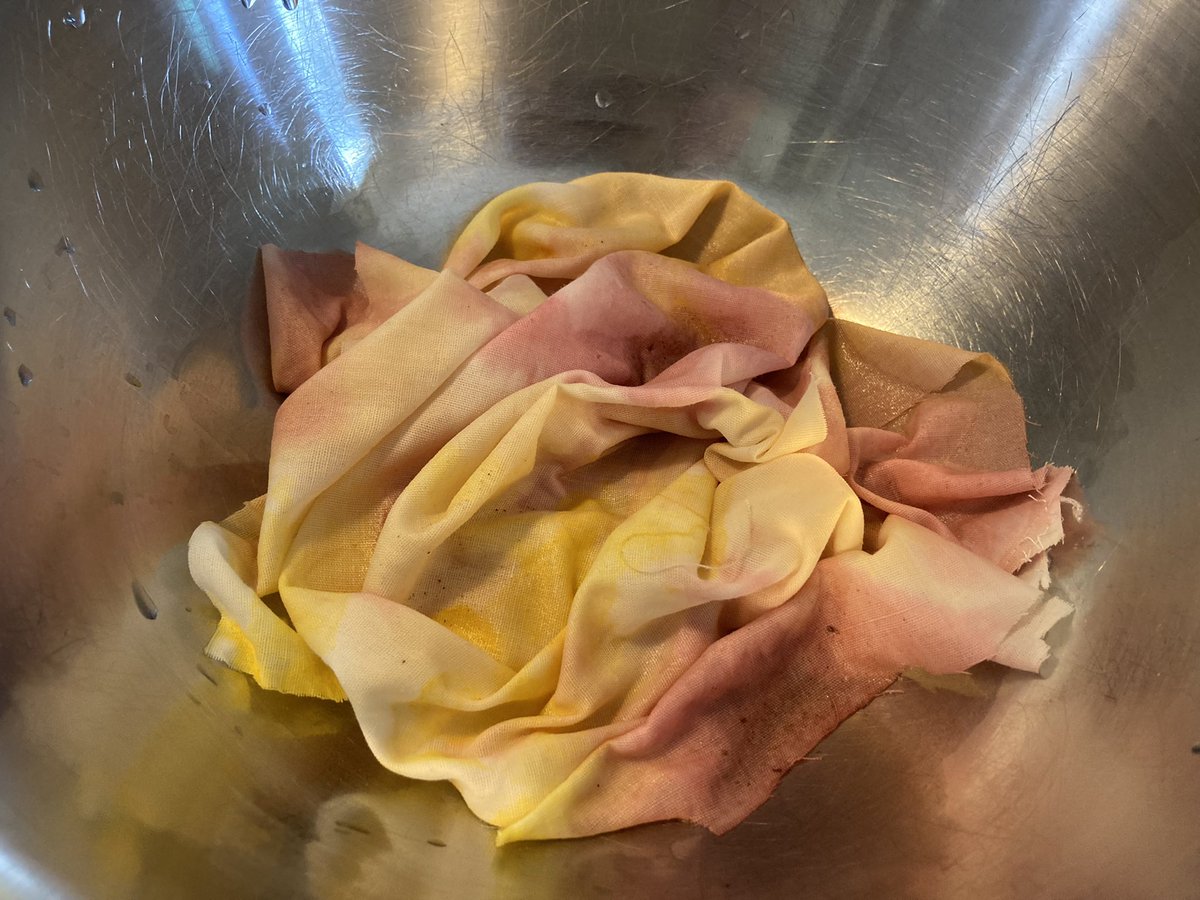wendyevaK's tweet photo. Shibori with edible dyes on cotton

I used strong black tea, turmeric, and hibiscus

Clearly the turmeric worked best!
#crafting
#healing
#slowcreativity
#selfcare 
#shibori
#naturaldyes https://t.co/9MLolPPhBw