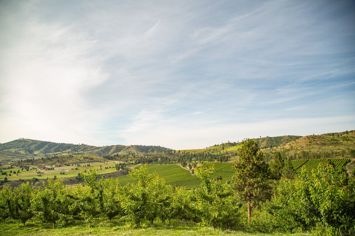 An end to a beautiful day in the valley 🌳 #NothingBeatsNWGrown