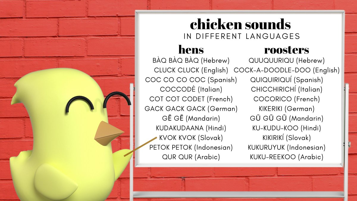CheekyChooksNFT's tweet photo. GM #NFTCommunity!
Learn how to speak chicken! 🐤
This one is dedicated to @InfinityTimesMe and @The_Bread_Bros! 😁
Any language we missed? Let us know in the comments!
#nftmeme #NFTs #chickensounds #cheekychooksnft https://t.co/njnDEbrKEo