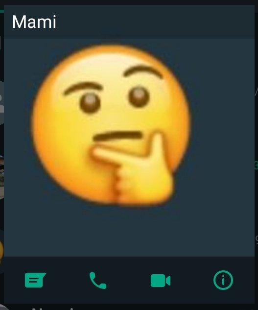 echoplexft's tweet photo. mi mamá 🤔 en whatsapp 🤔 https://t.co/pUnEncHSk1