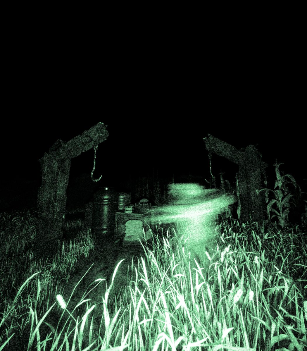 benjXYZart's tweet photo. MY TRAILCAM JUST PICKED UP @ArdethaBite WHO LET HIM OUT https://t.co/nKETHKoS2J