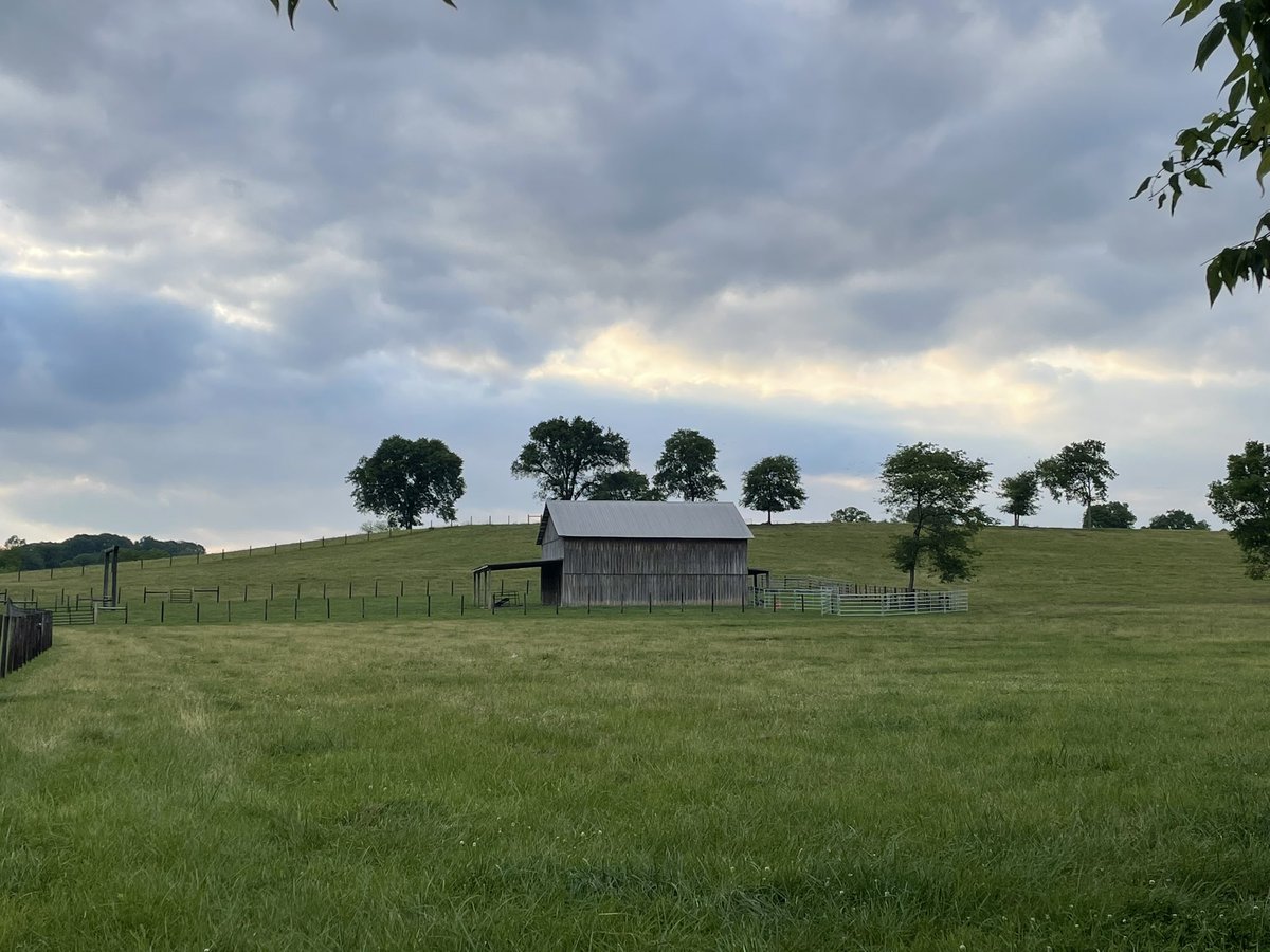 🌘 Jaxis Black 🌒 tweet media