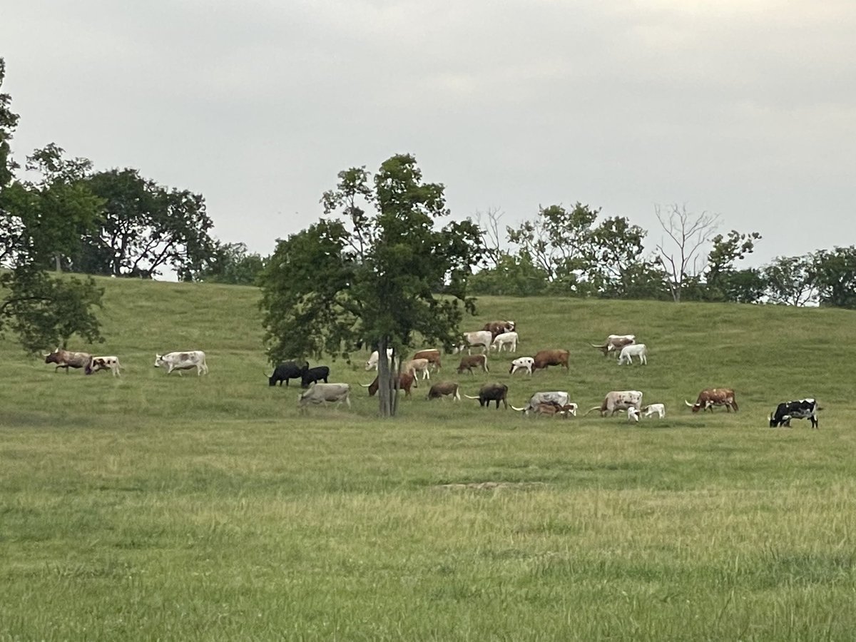 🌘 Jaxis Black 🌒 tweet media