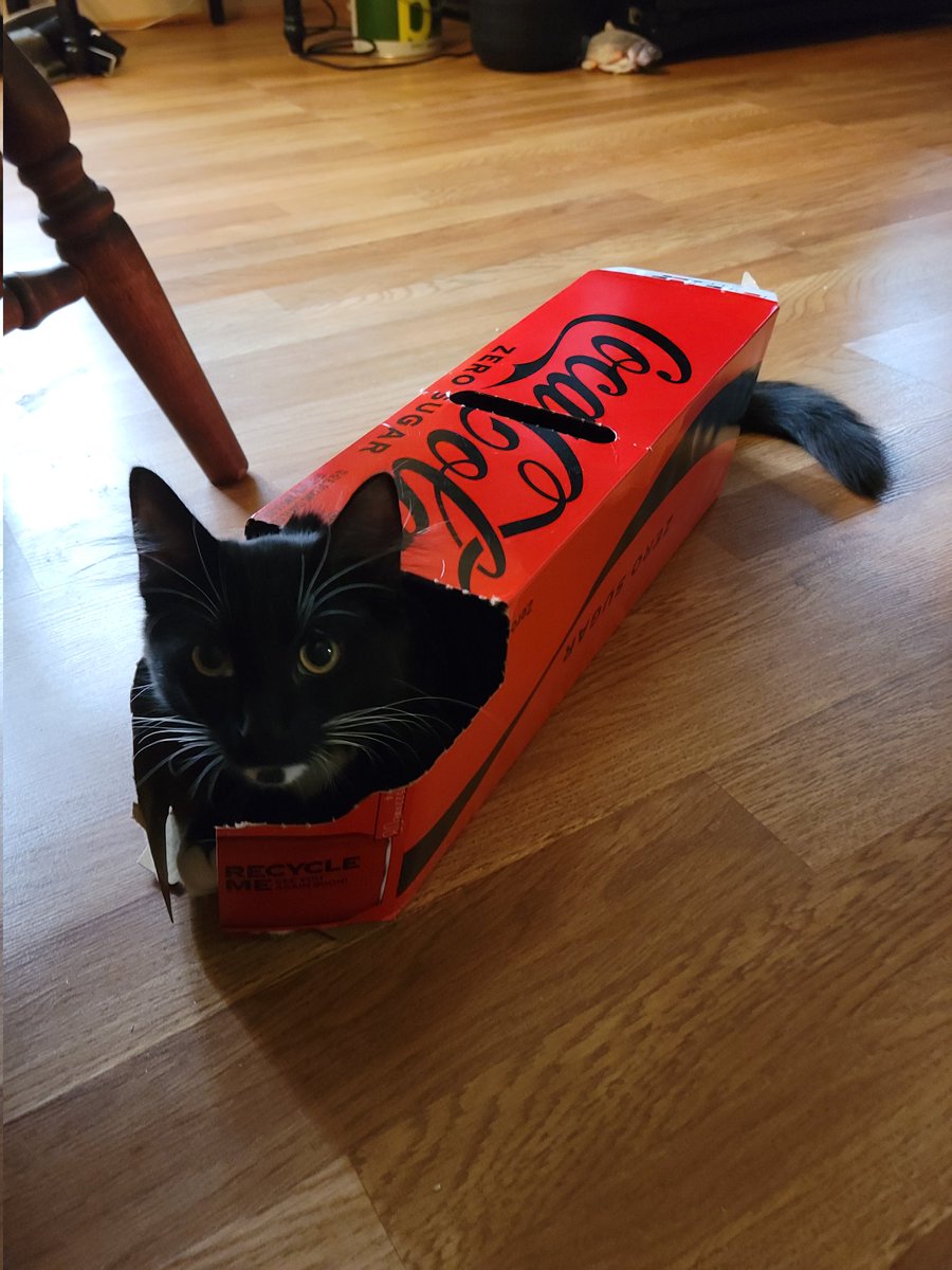 Spanomes's tweet photo. @CocaCola you have a super fan! #LoveCokeZero https://t.co/GeOwNjcH3V