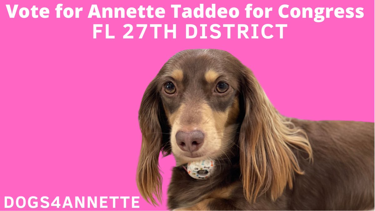 krenrodz's tweet photo. @Dogs4FL27 @Dogs4FL27 #dogs4annette https://t.co/KKDp8oQiXh