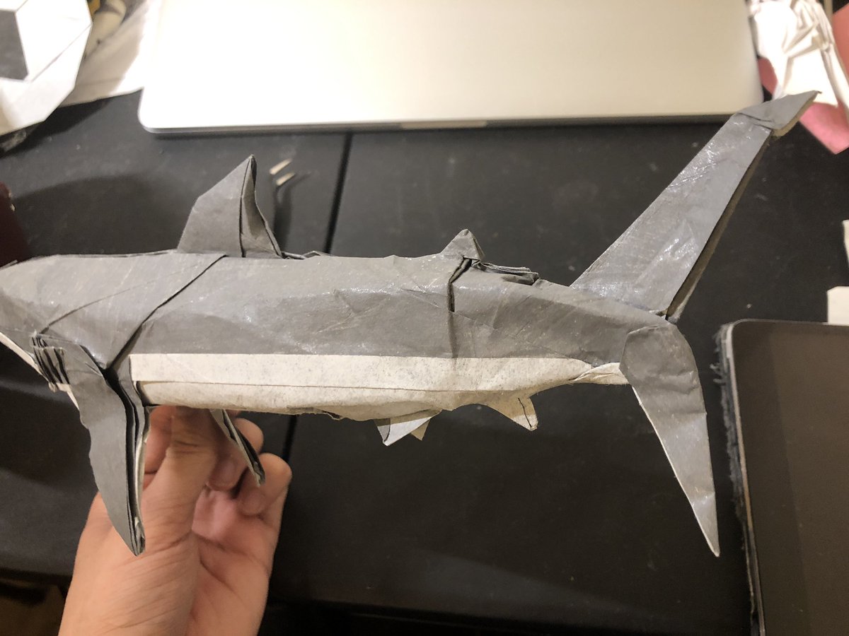 OrigamiBrasil's tweet photo. RT @imm_richh: Shark, designed and folded by me
Crease pattern in reply
#origami #shark #wildlife #creasepattern https://t.co/kbPEPxm5WW