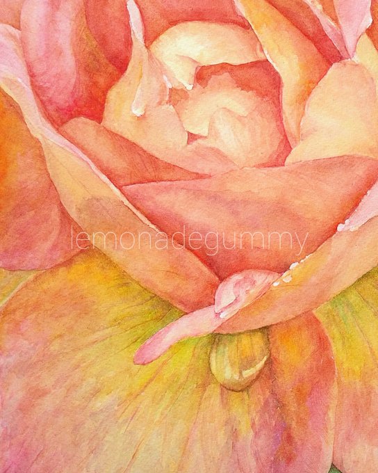 新作の薔薇の作品を少しずつ🌹花びらのシワのような質感を、細めの面相筆で加筆しています。 #透明水彩 