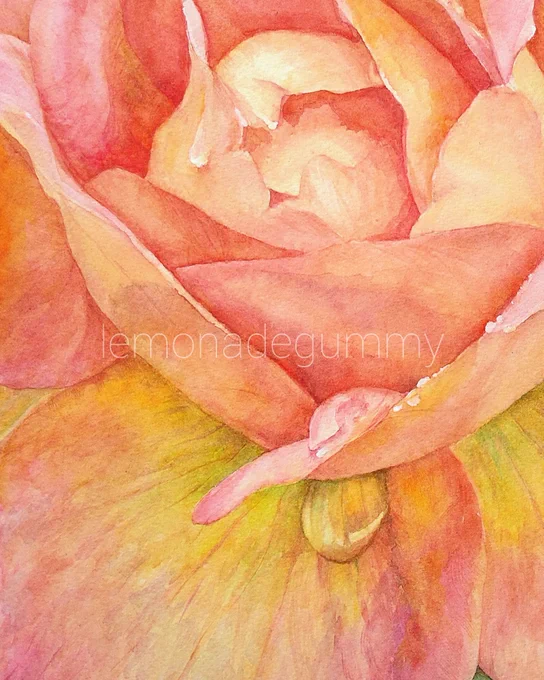 新作の薔薇の作品を少しずつ🌹花びらのシワのような質感を、細めの面相筆で加筆しています。 #透明水彩 