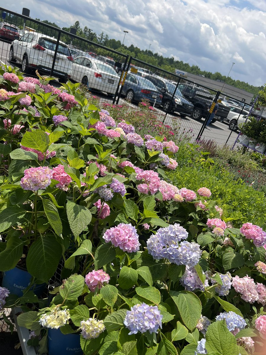 Great job Rick from Bell nursery’s these tables look great at 4118 :)