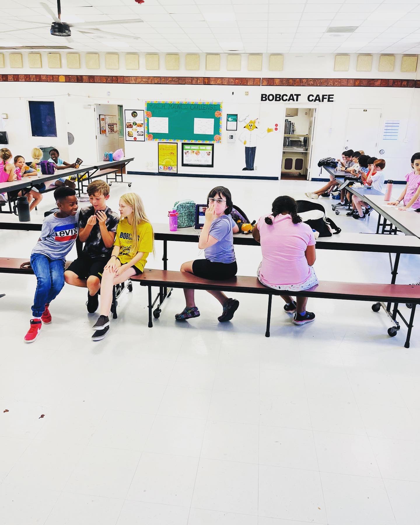 citrus cove elementary principal