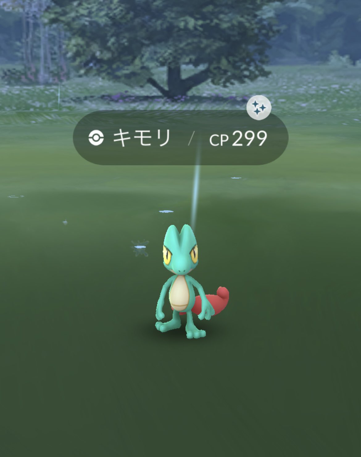 のぴすけ Pokemongo 綺麗な色だね ポケモンgo 色違い キモリ 色違いキモリ T Co Liwxhurrd5 Twitter
