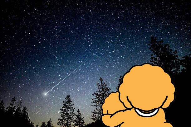 Pi_INU_Token's tweet photo. Pi INU at ​the floor was watching the stars fall. To go up to the sky again with the stars that have fallen to the ground.
Soon the era of the Pi network will come and it will take off. https://t.co/V4cyWNJqh7