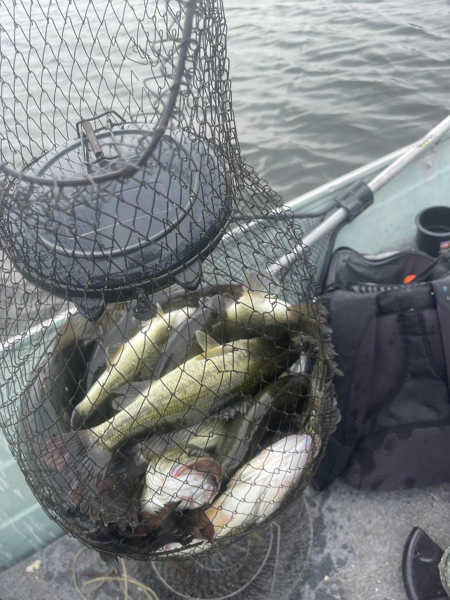 TimFull10463925's tweet photo. Two days of fishing. 40 bass, 17 crappies. #fishing  #topwater #yumlures #BlessedAndGrateful #outdoors #fishinglife https://t.co/nh3IsOrnBS