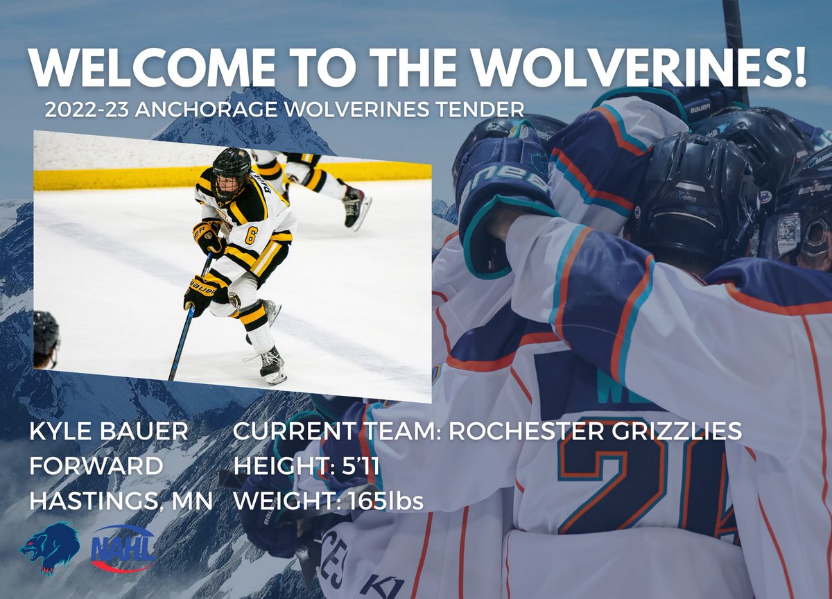X - Anchorage Wolverines tweet media