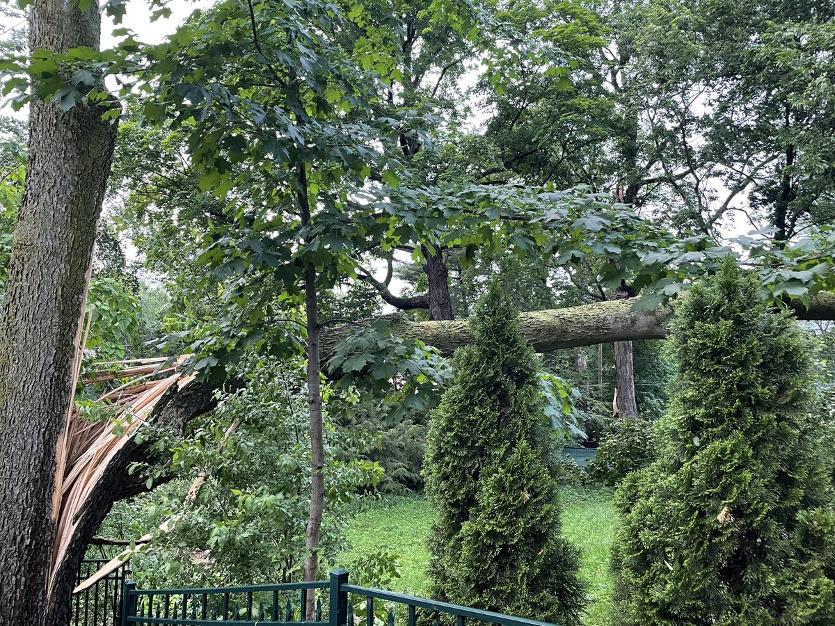 jasondweaver's tweet photo. @MGEMadison we have a live power line down in my backyard. Worried it will hurt someone. https://t.co/QgvOsqEswn