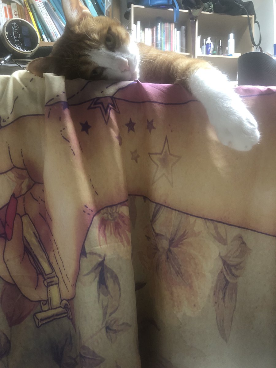 볼희의 하루(볼셰비키 혁명의 희망) (@lovethemoment30) on Twitter photo 