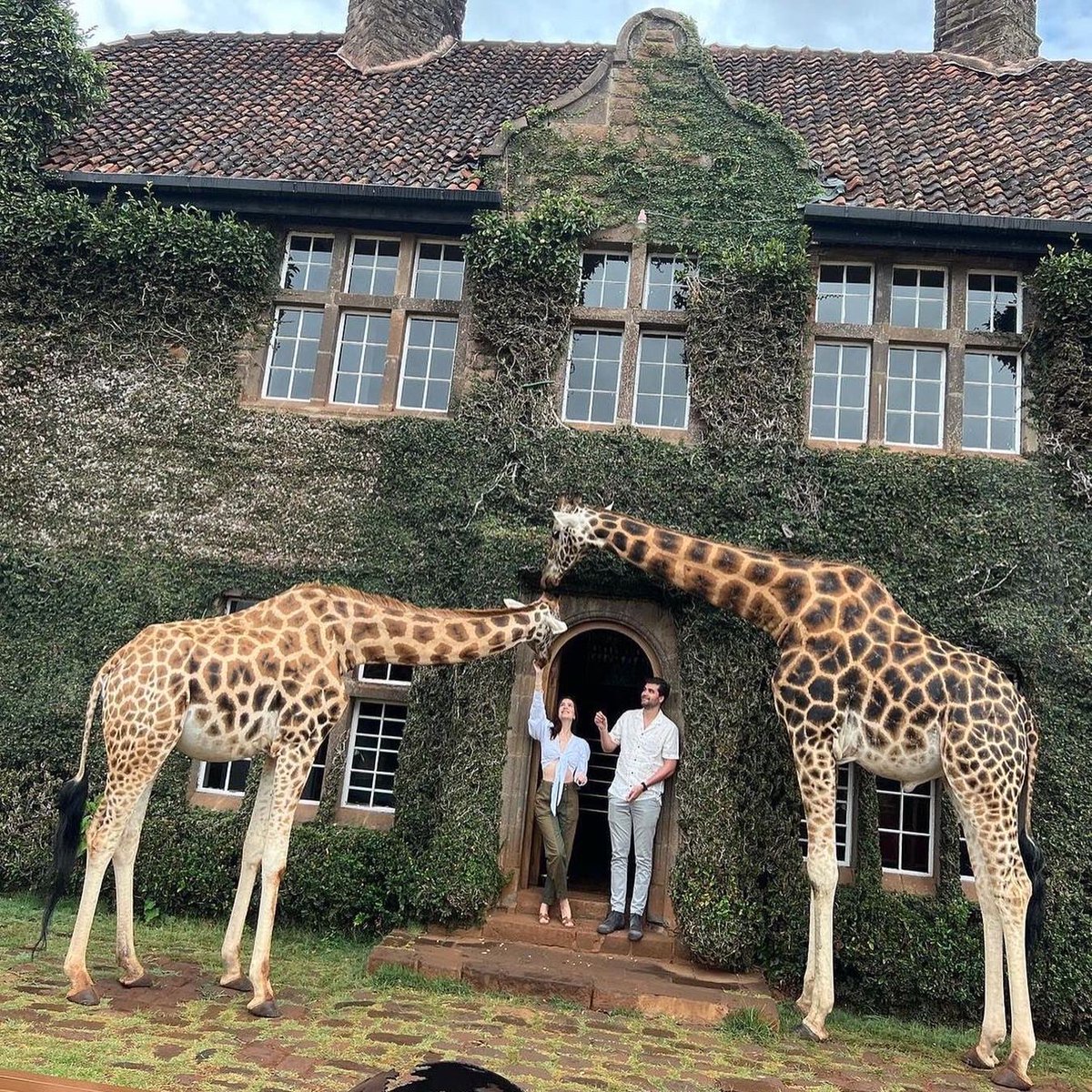 paultoursafari's tweet photo. Where do you see yourself holidaying in 2022?
Here is a little inspiration to get your travel juices flowing. 

Let us know what's top of your list and we can help you get there. Contact us for bookings paultoursafari@gmail.com https://t.co/mnvCeZaIUA