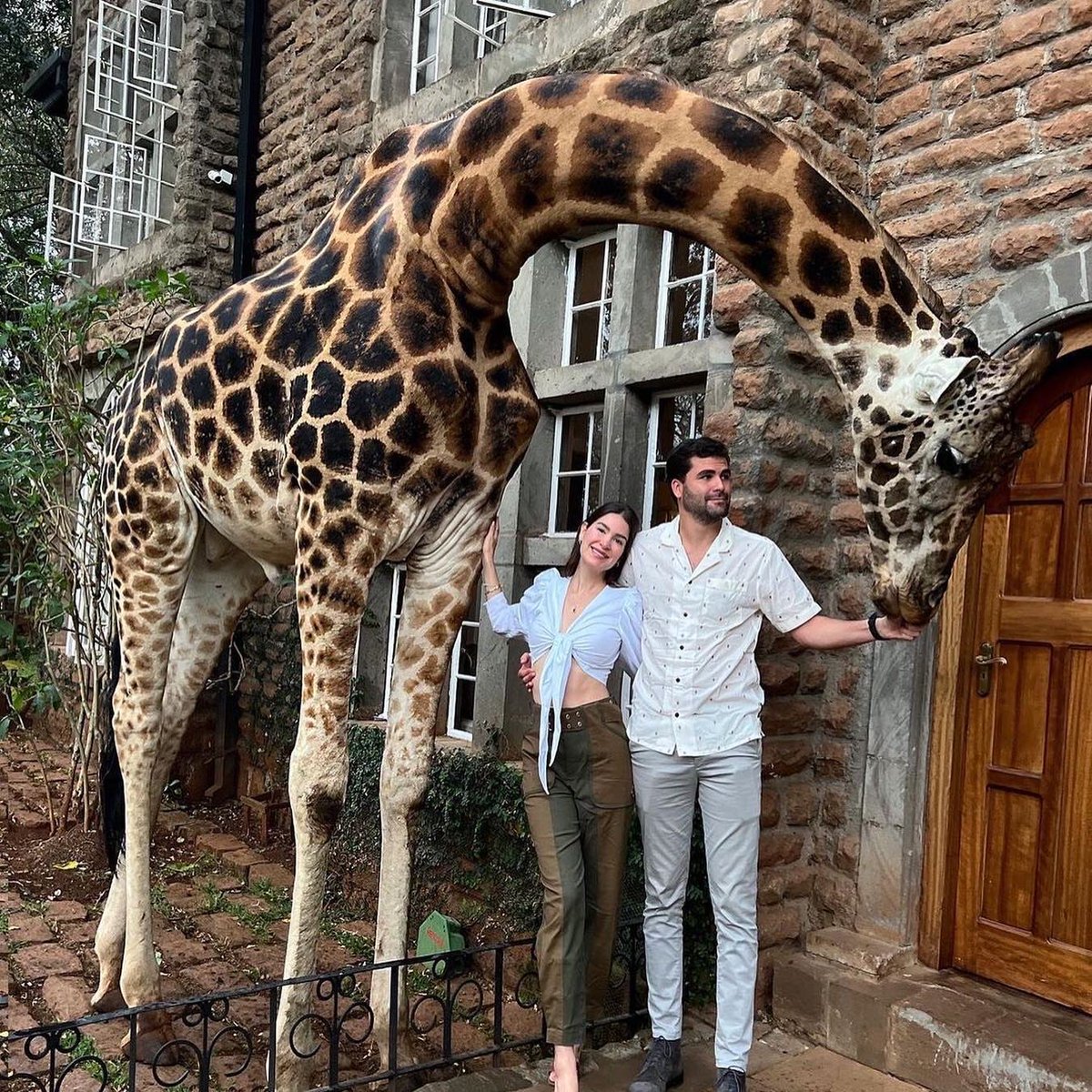 paultoursafari's tweet photo. Where do you see yourself holidaying in 2022?
Here is a little inspiration to get your travel juices flowing. 

Let us know what's top of your list and we can help you get there. Contact us for bookings paultoursafari@gmail.com https://t.co/mnvCeZaIUA