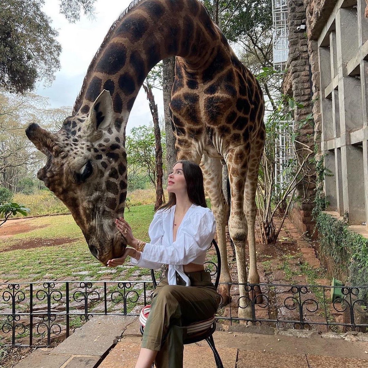 paultoursafari's tweet photo. Where do you see yourself holidaying in 2022?
Here is a little inspiration to get your travel juices flowing. 

Let us know what's top of your list and we can help you get there. Contact us for bookings paultoursafari@gmail.com https://t.co/mnvCeZaIUA